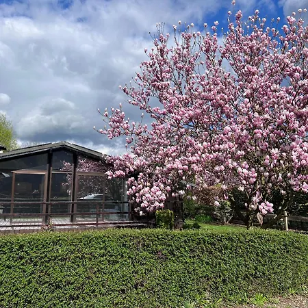 Chalet Spacieux A